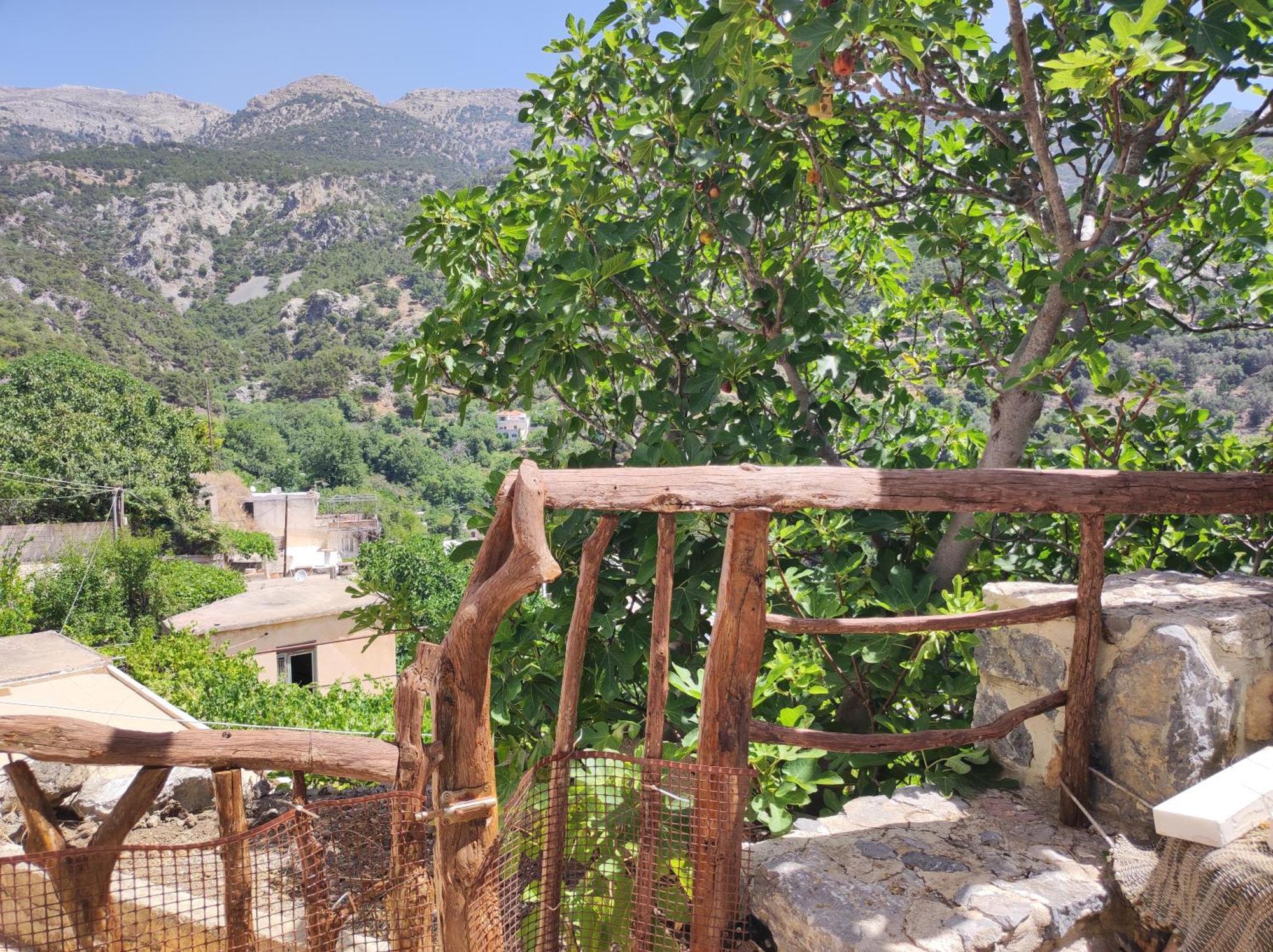 Kato Symi House Villa Kato Simi Ngoại thất bức ảnh